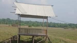 Dugaan Perampasan Lahan Batang Kuis Alarm Bahaya! Dugaan Perampasan Sawah di Batang Kuis Menyeruak, Dua Nama Anggota DPRD Terseret