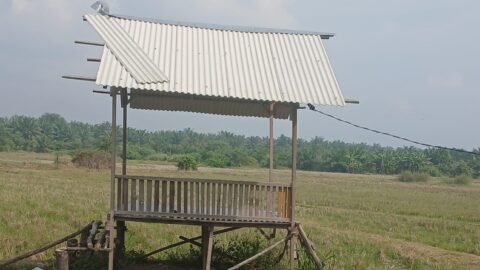 Dugaan Perampasan Lahan Batang Kuis Alarm Bahaya! Dugaan Perampasan Sawah di Batang Kuis Menyeruak, Dua Nama Anggota DPRD Terseret
